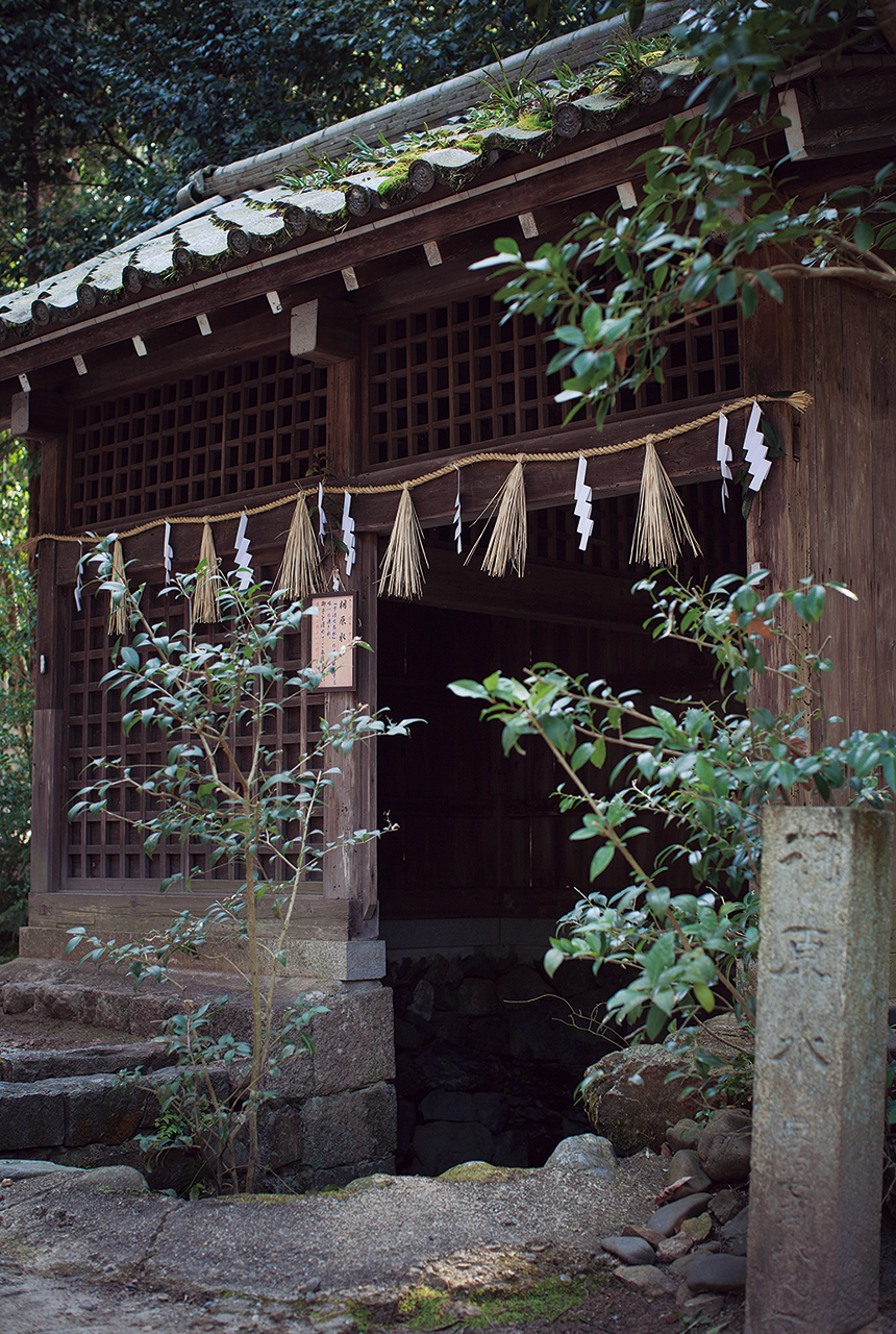 宇治上神社の「桐原水」